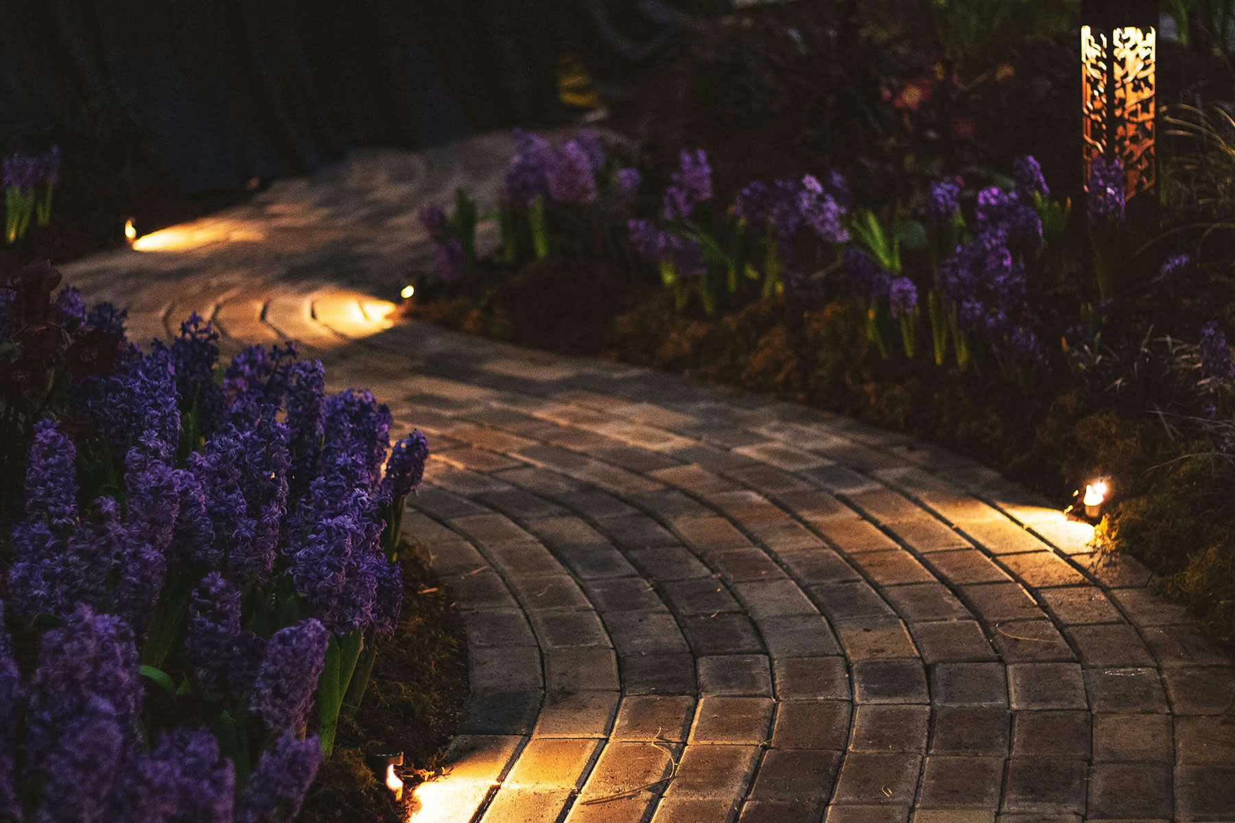 Landscape lighting illuminating a residential property